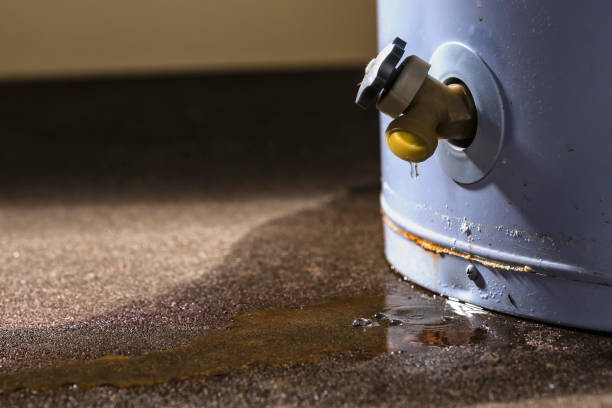 Best Basement water damage restoration  in Arnold Line, MS