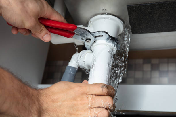 Best Professional water damage repair  in Arnold Line, MS