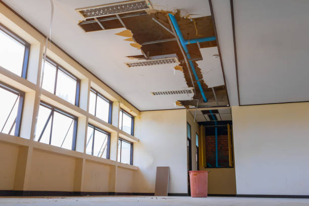 Best Carpet water damage restoration  in Arnold Line, MS