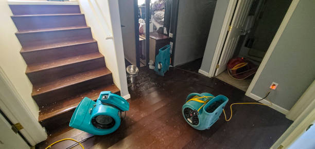 Best Carpet water damage restoration  in Arnold Line, MS