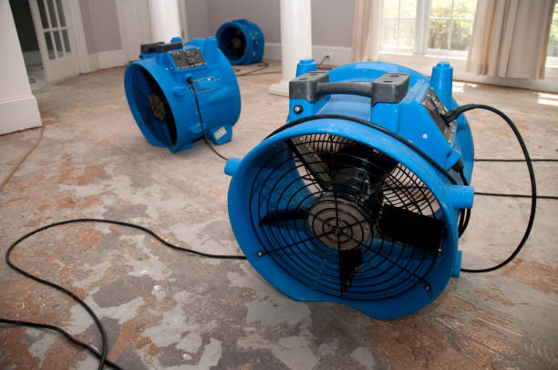Best Flood restoration services  in Arnold Line, MS